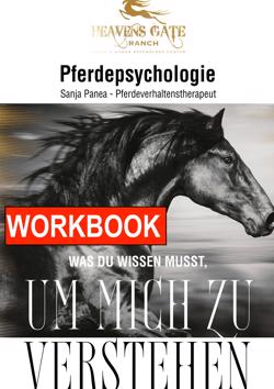 Pferdepsychologie — Was du wissen musst, um mich zu verstehen