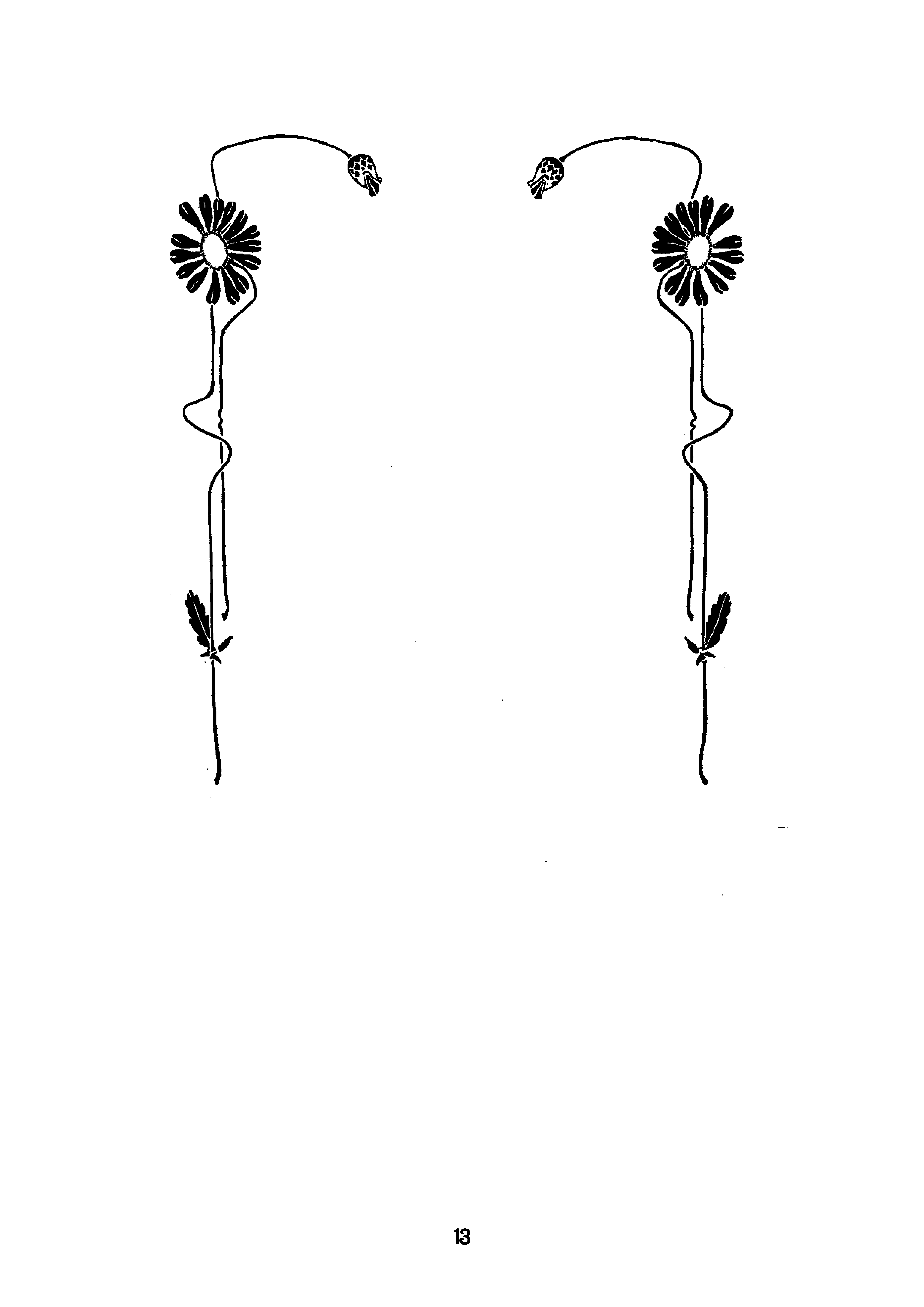 13
