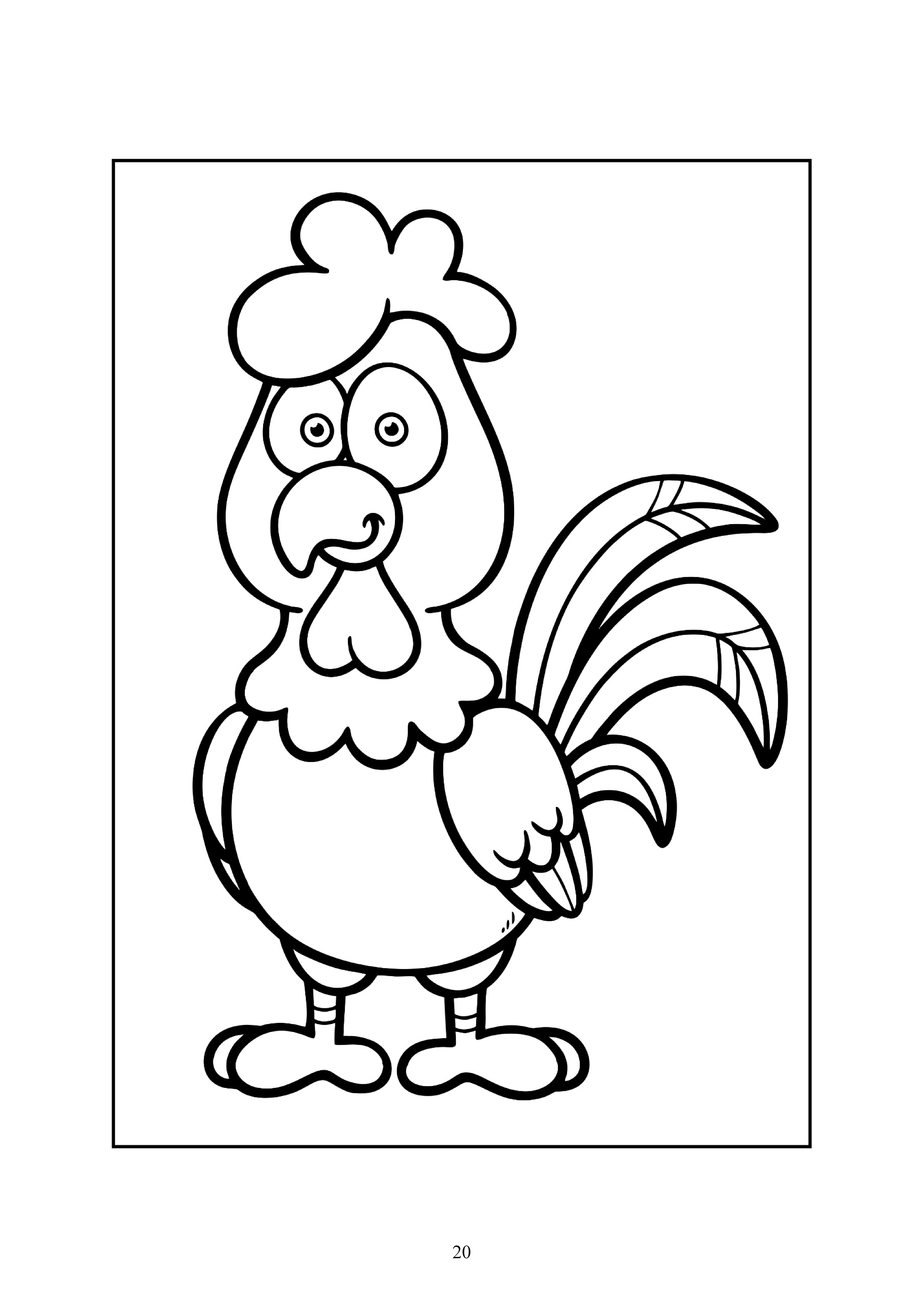 20