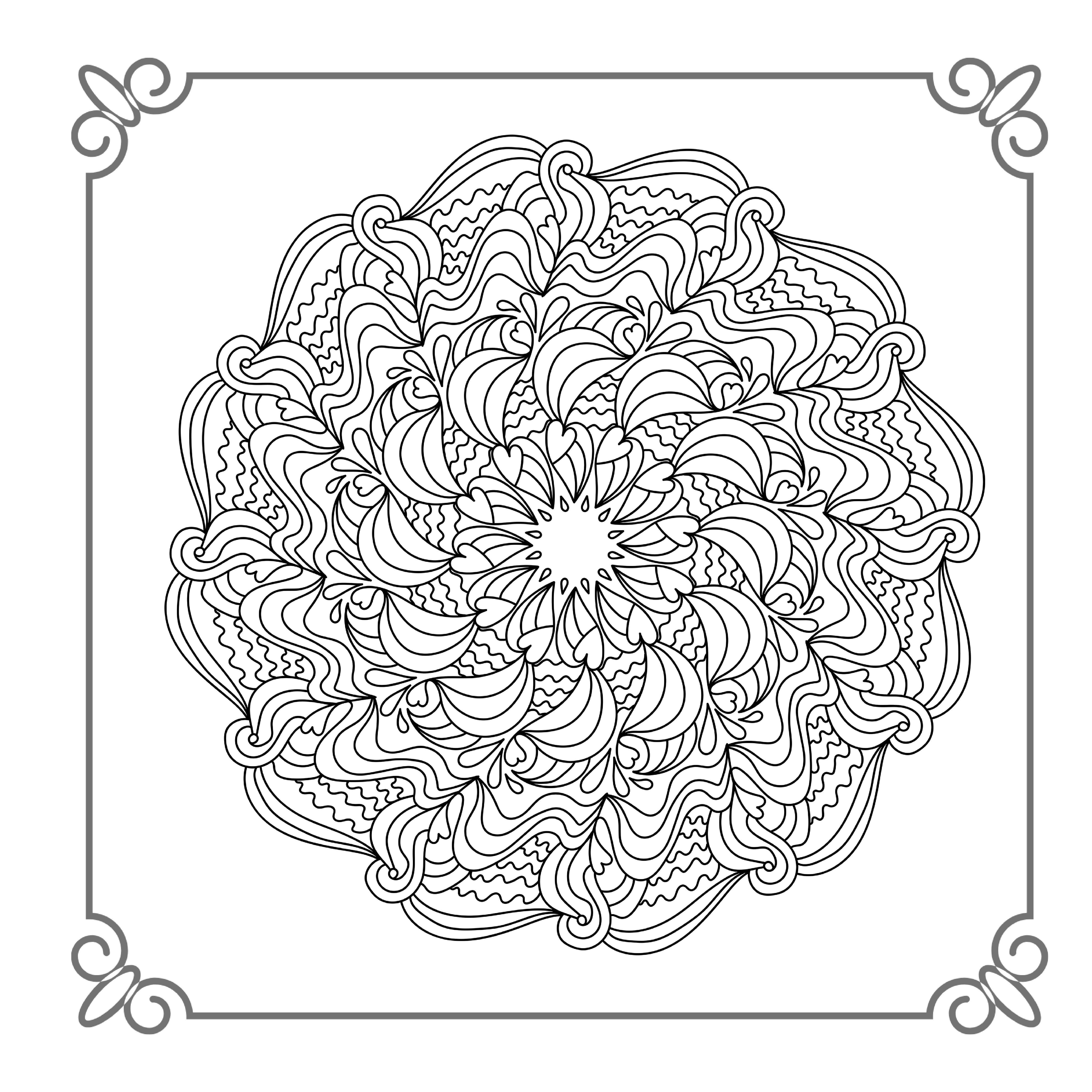 19