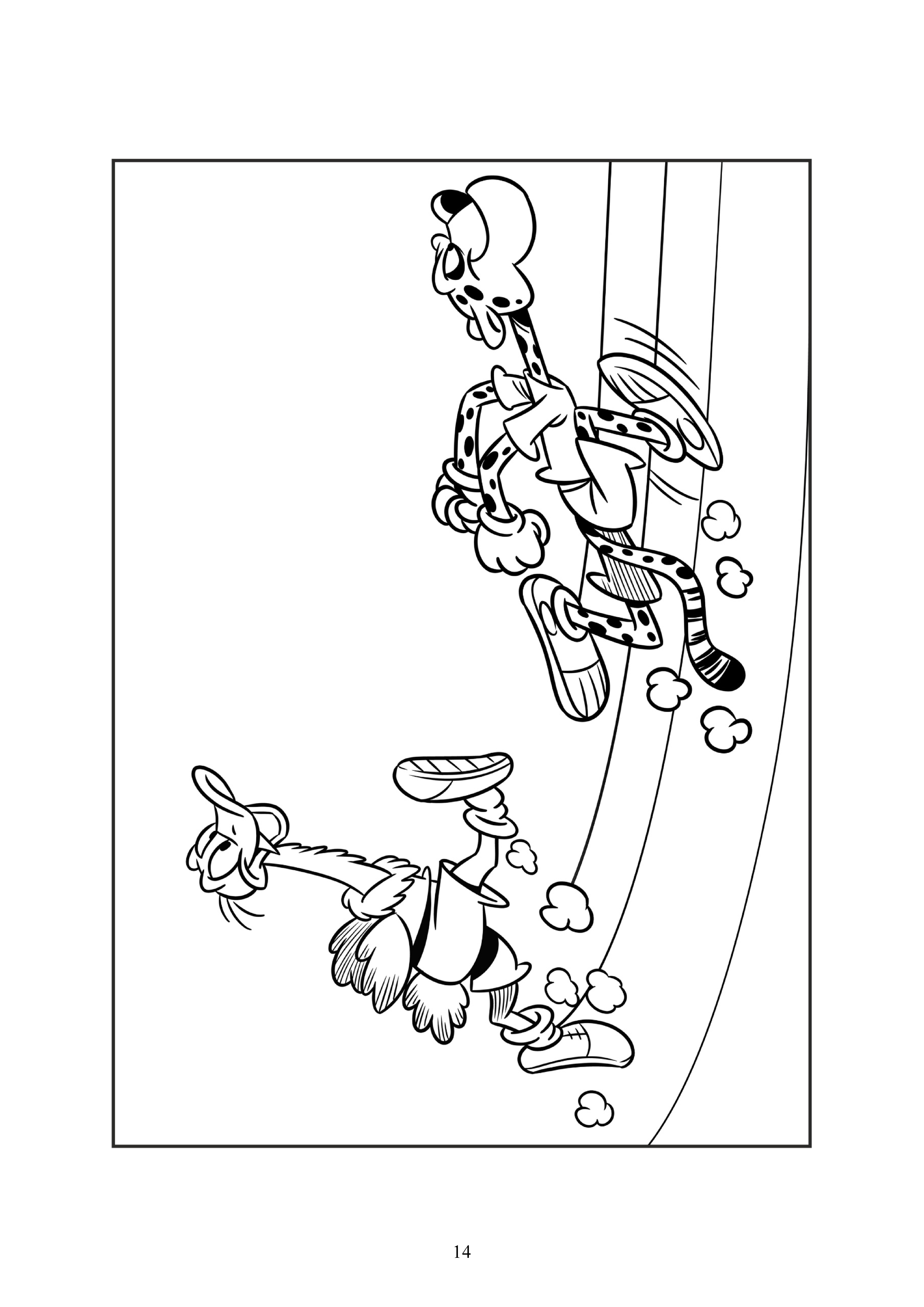 14