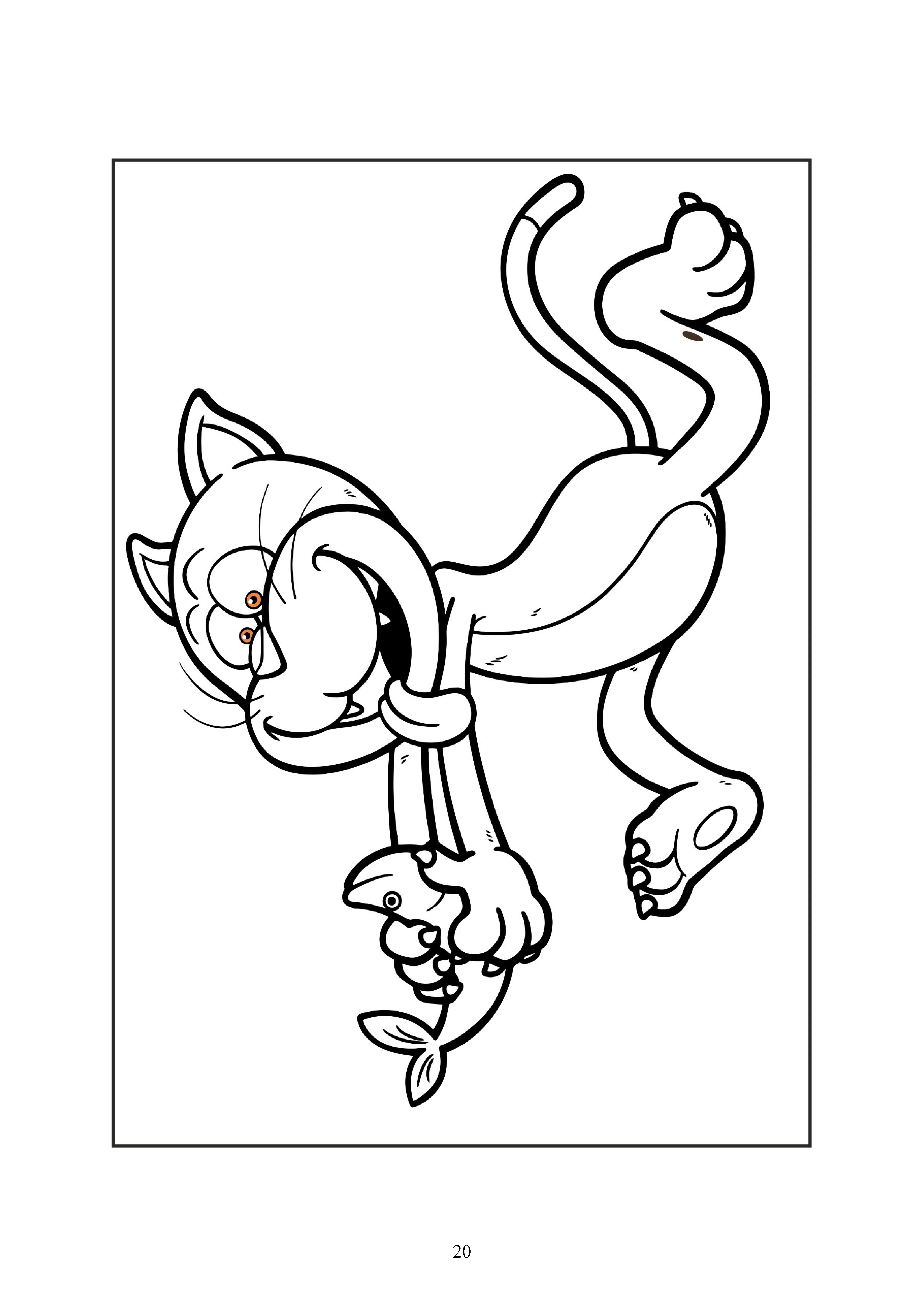 20