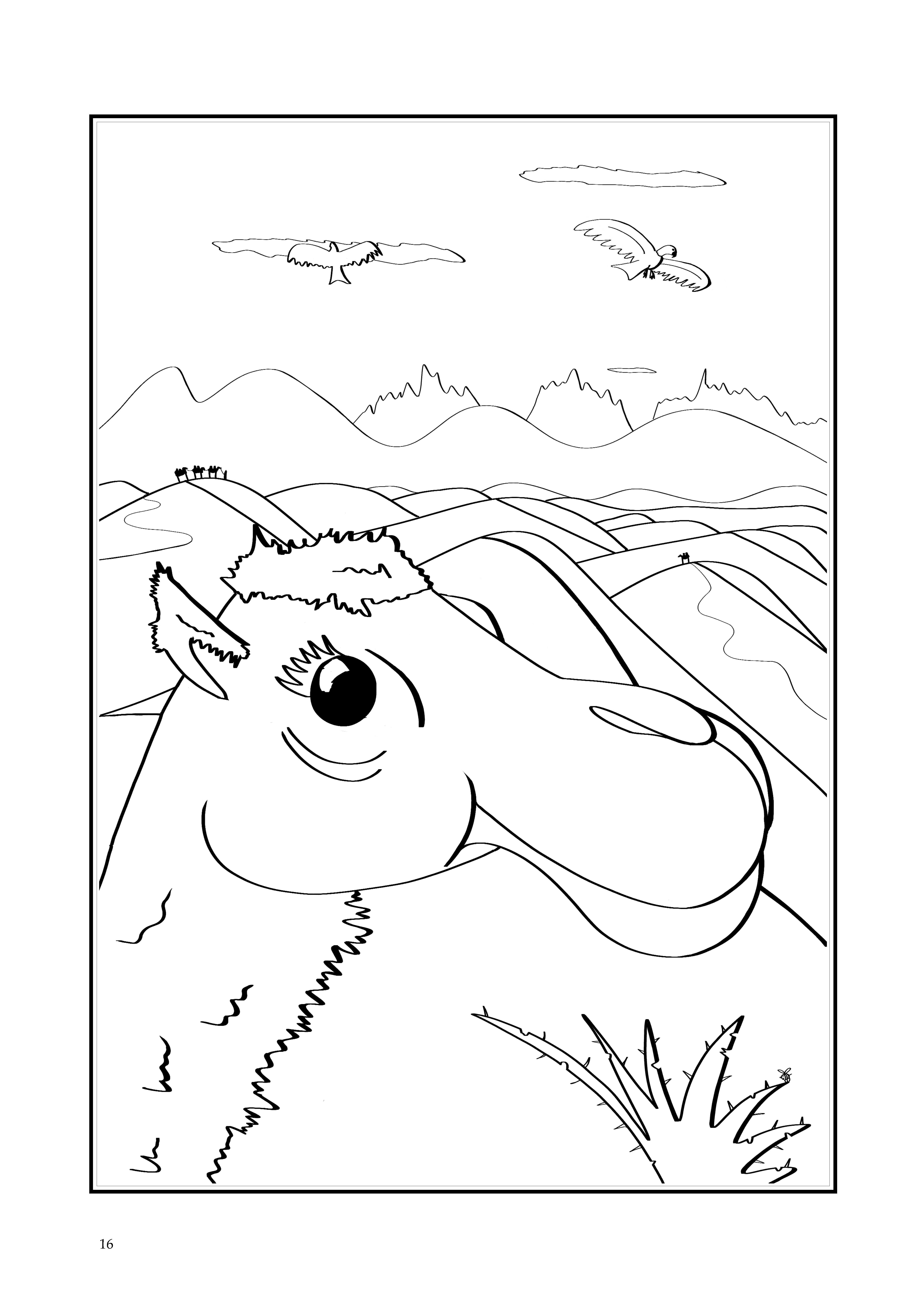 16