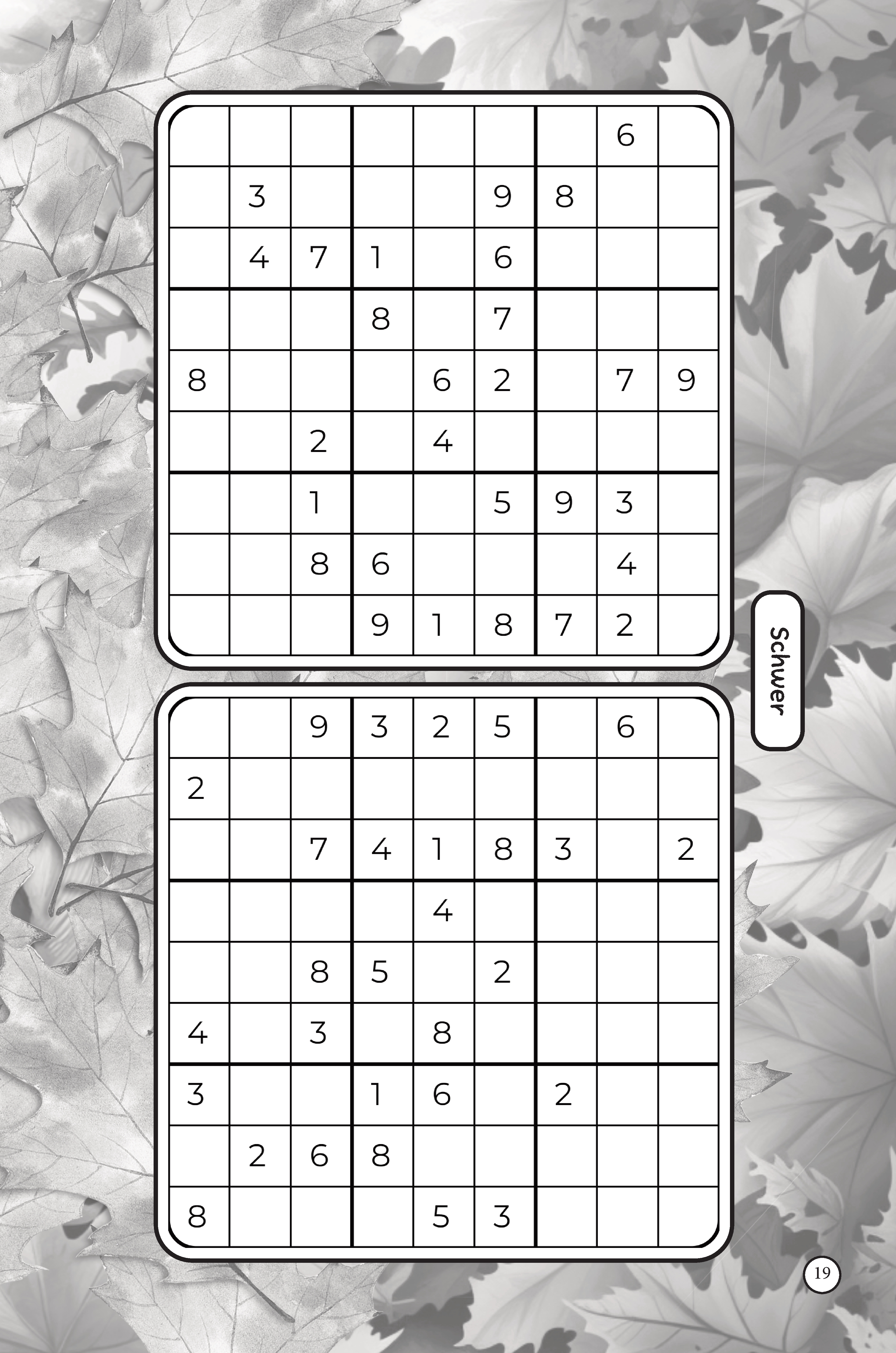 19