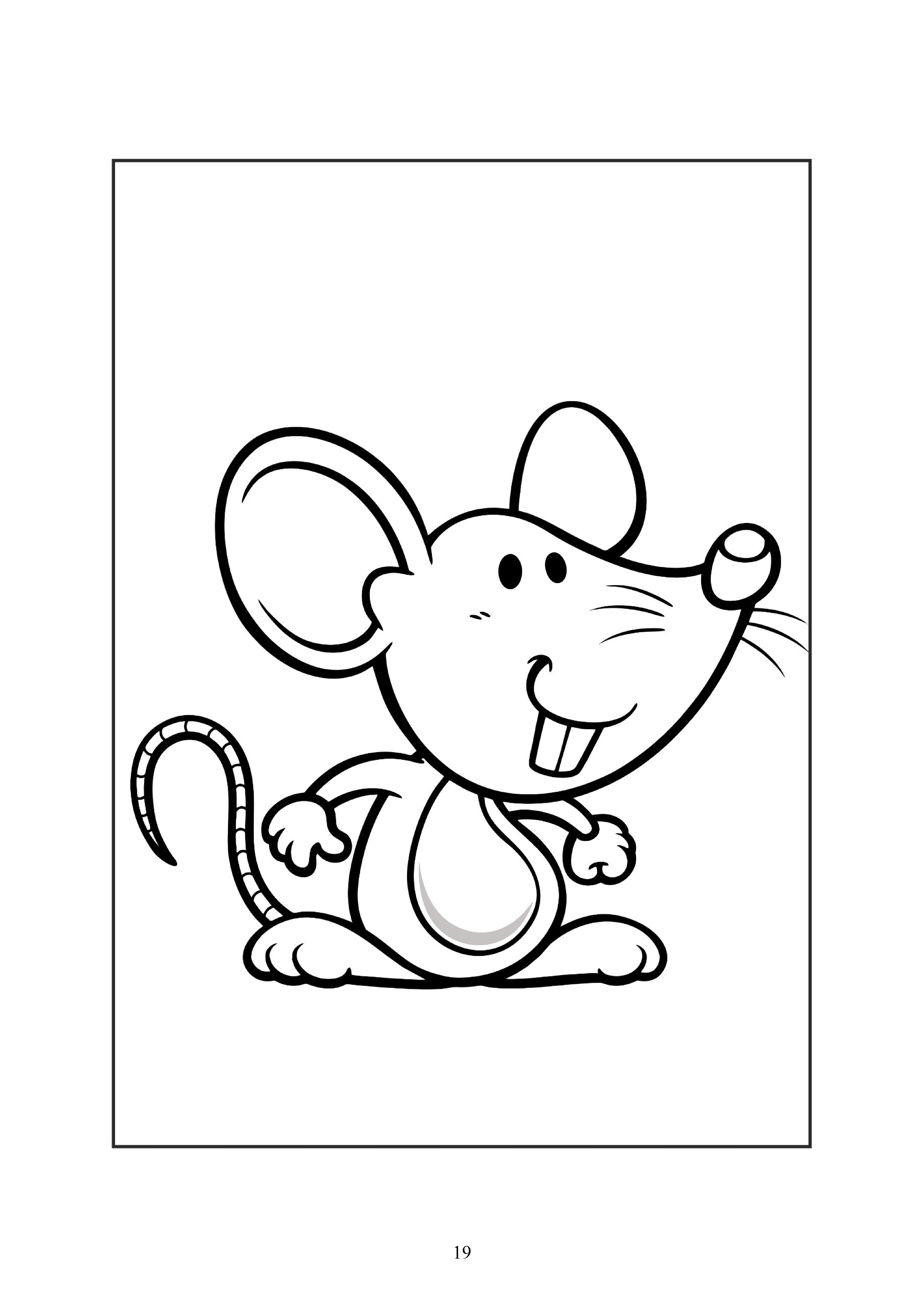19
