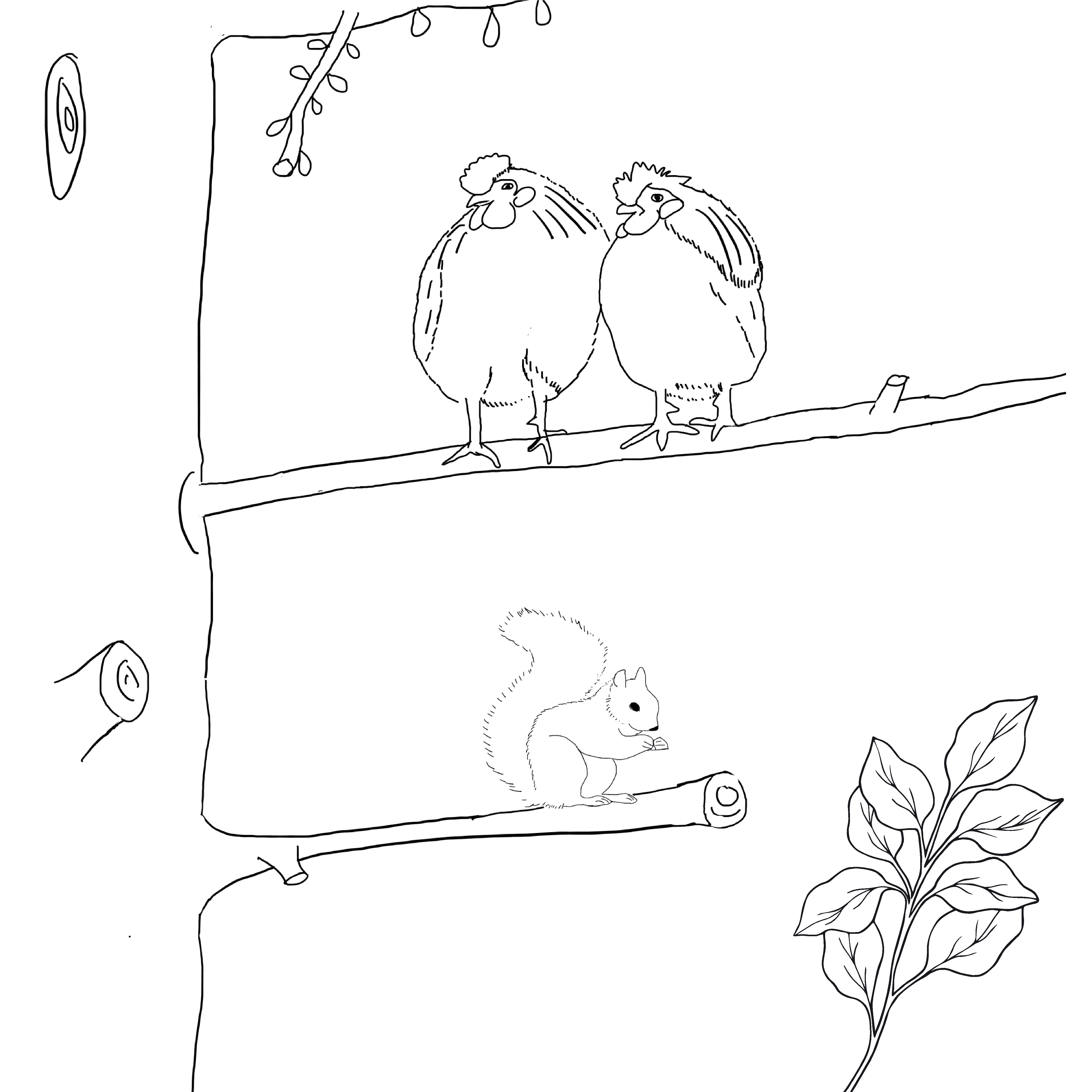 12