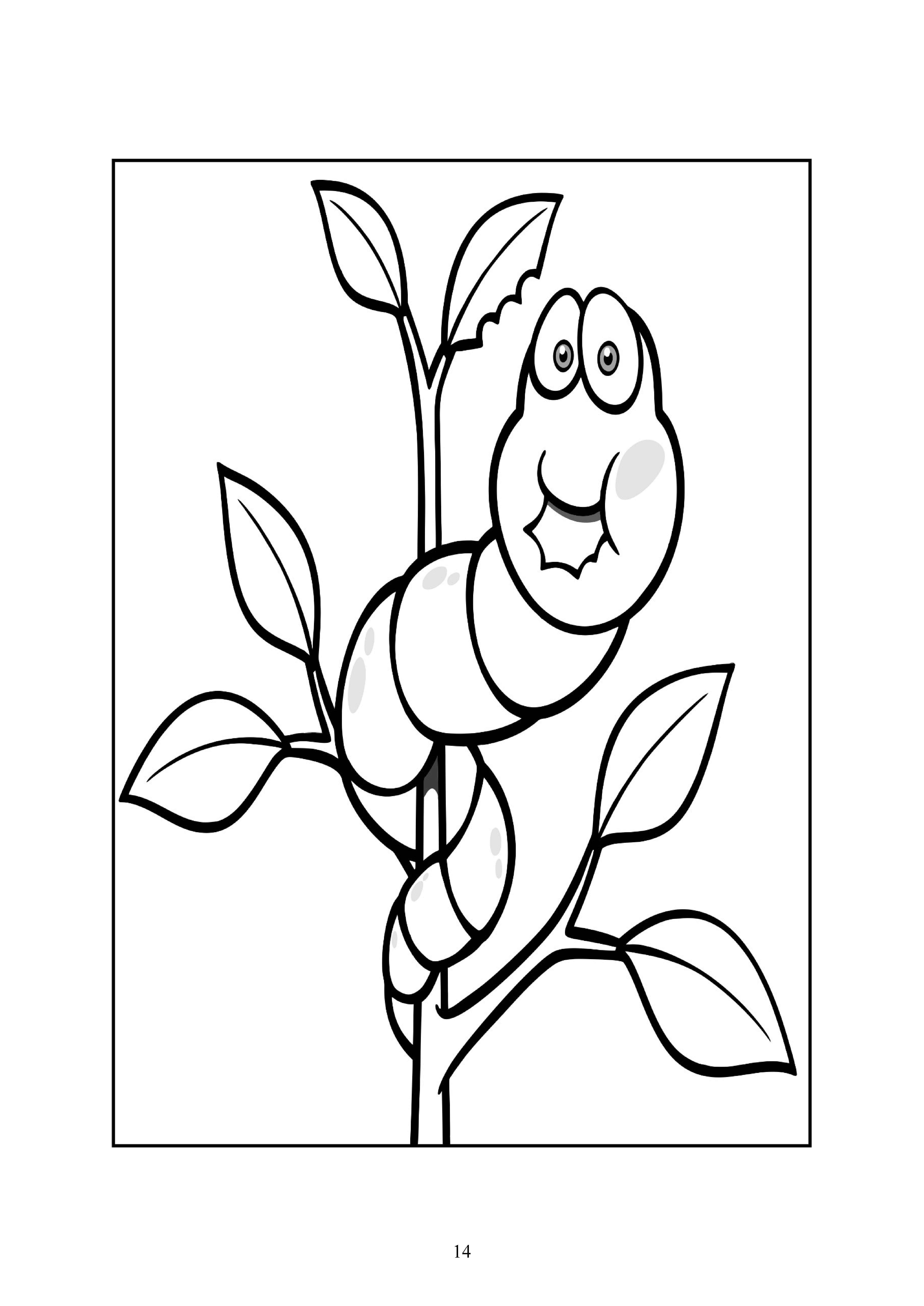 14
