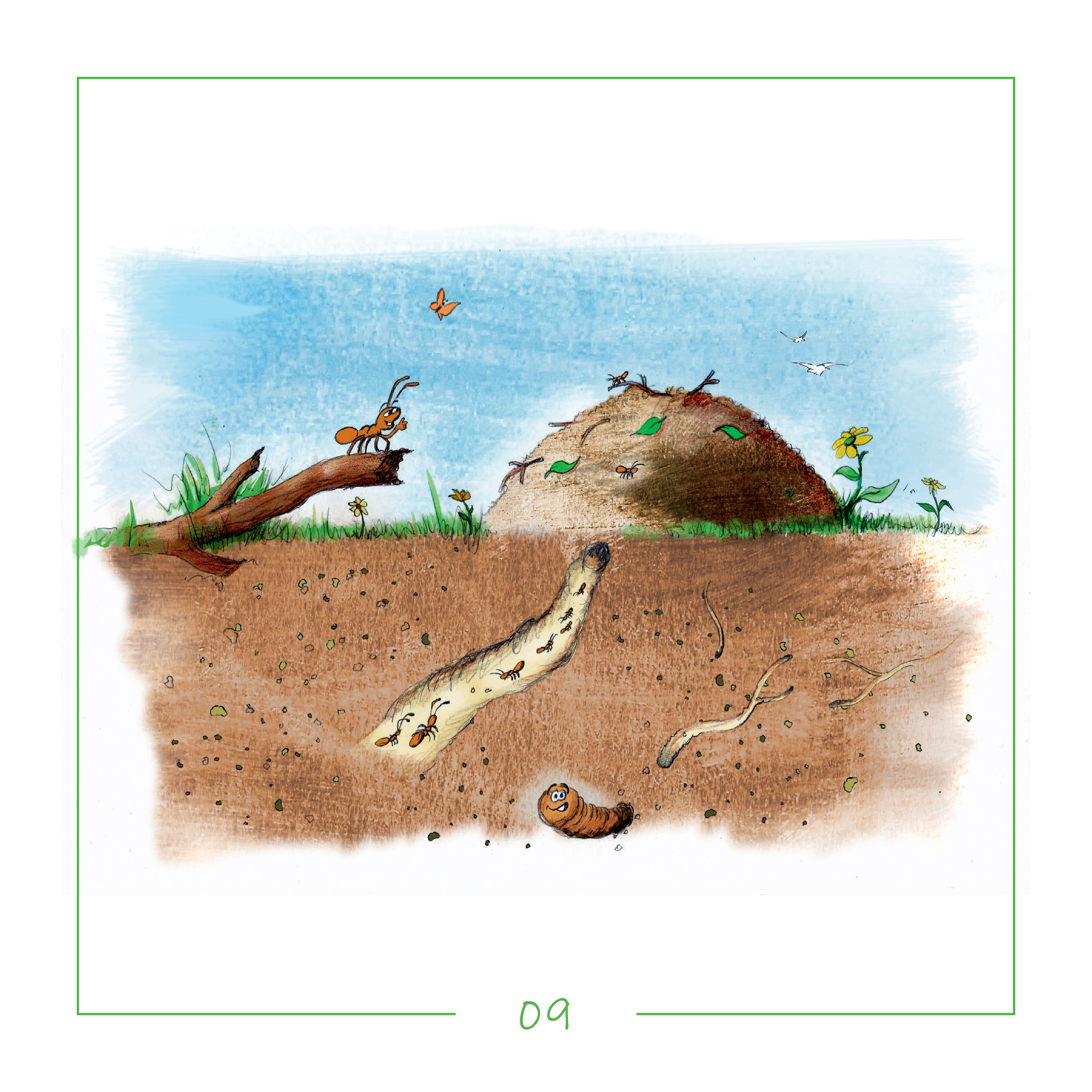 8