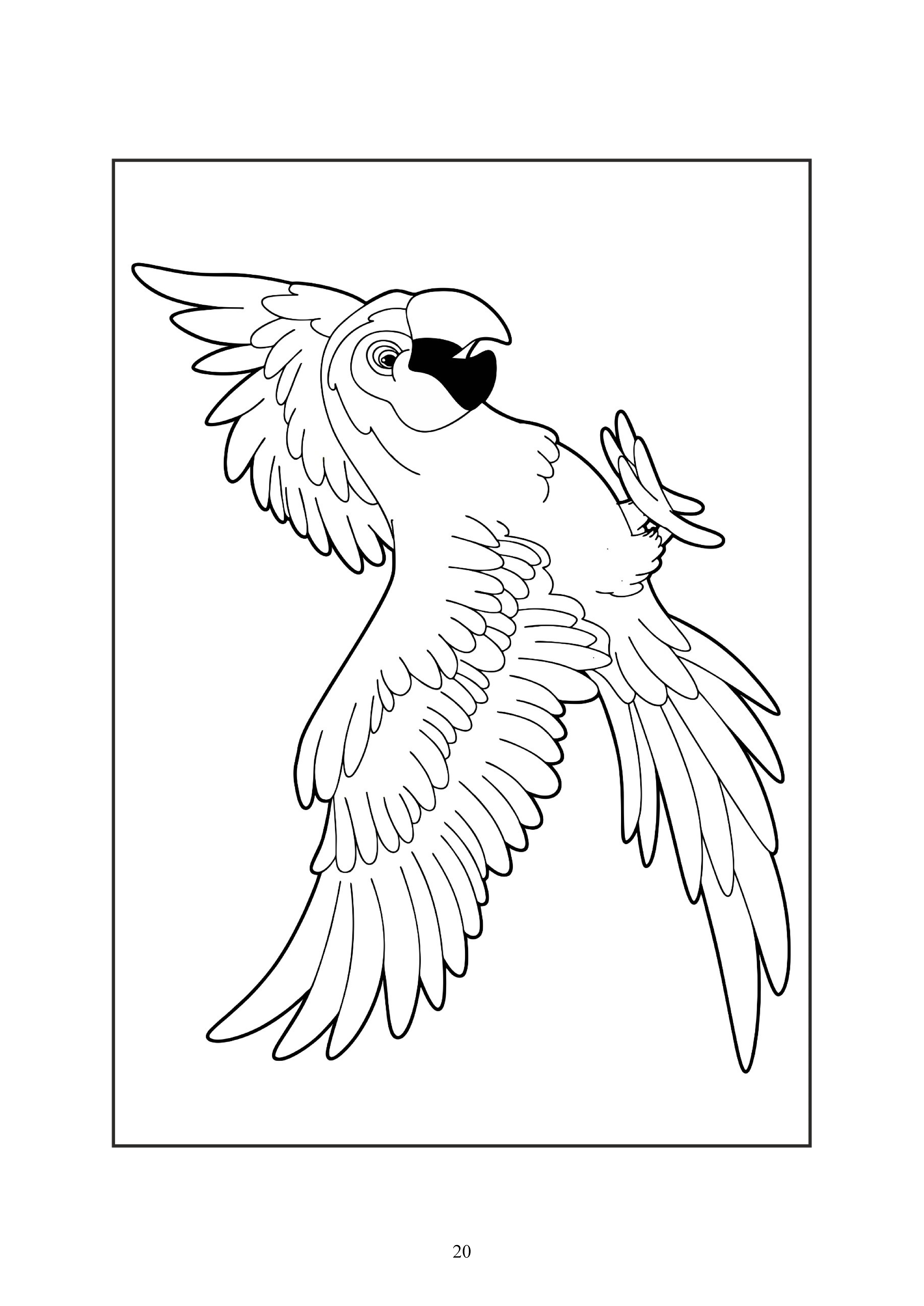 20