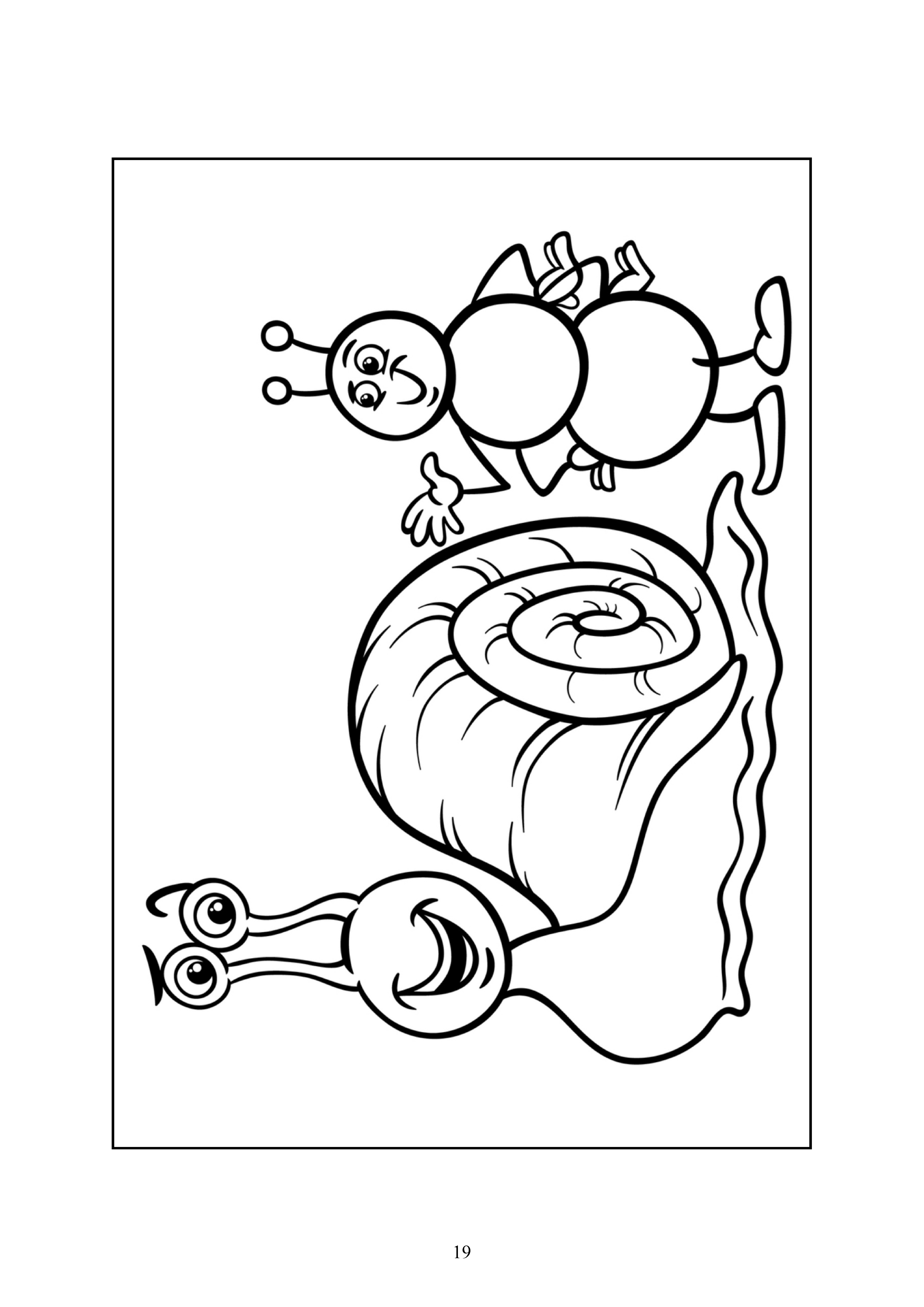19