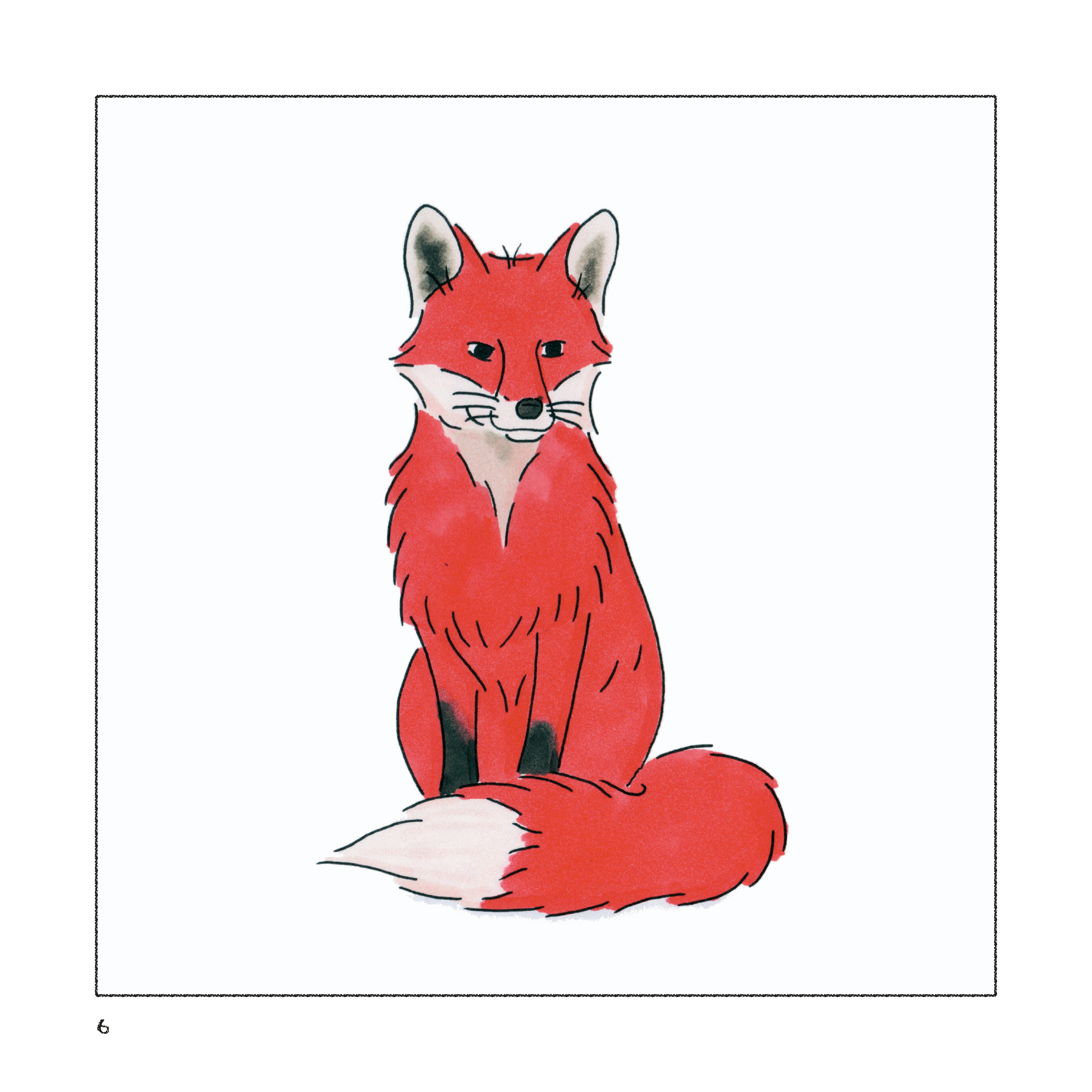 6