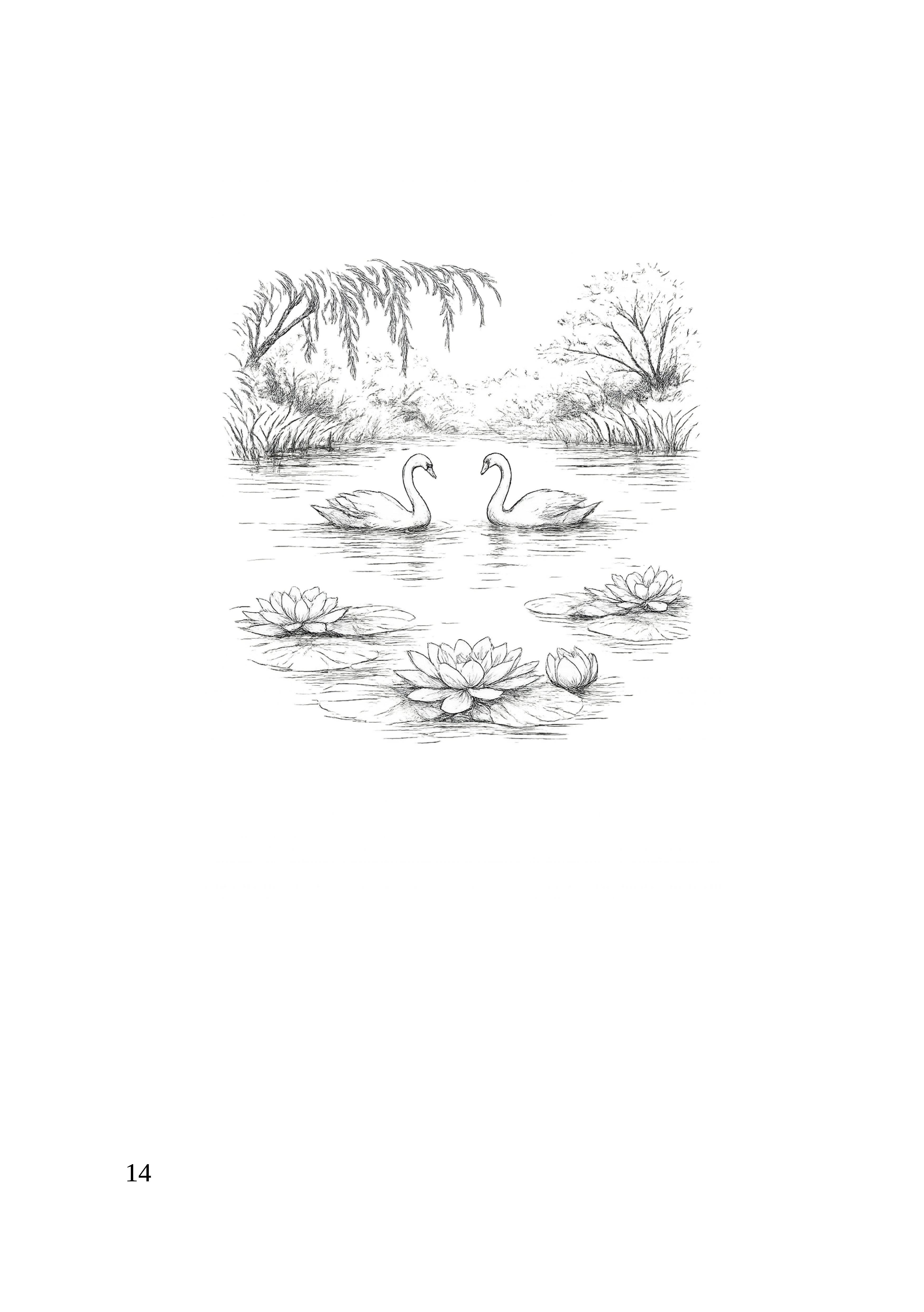 14