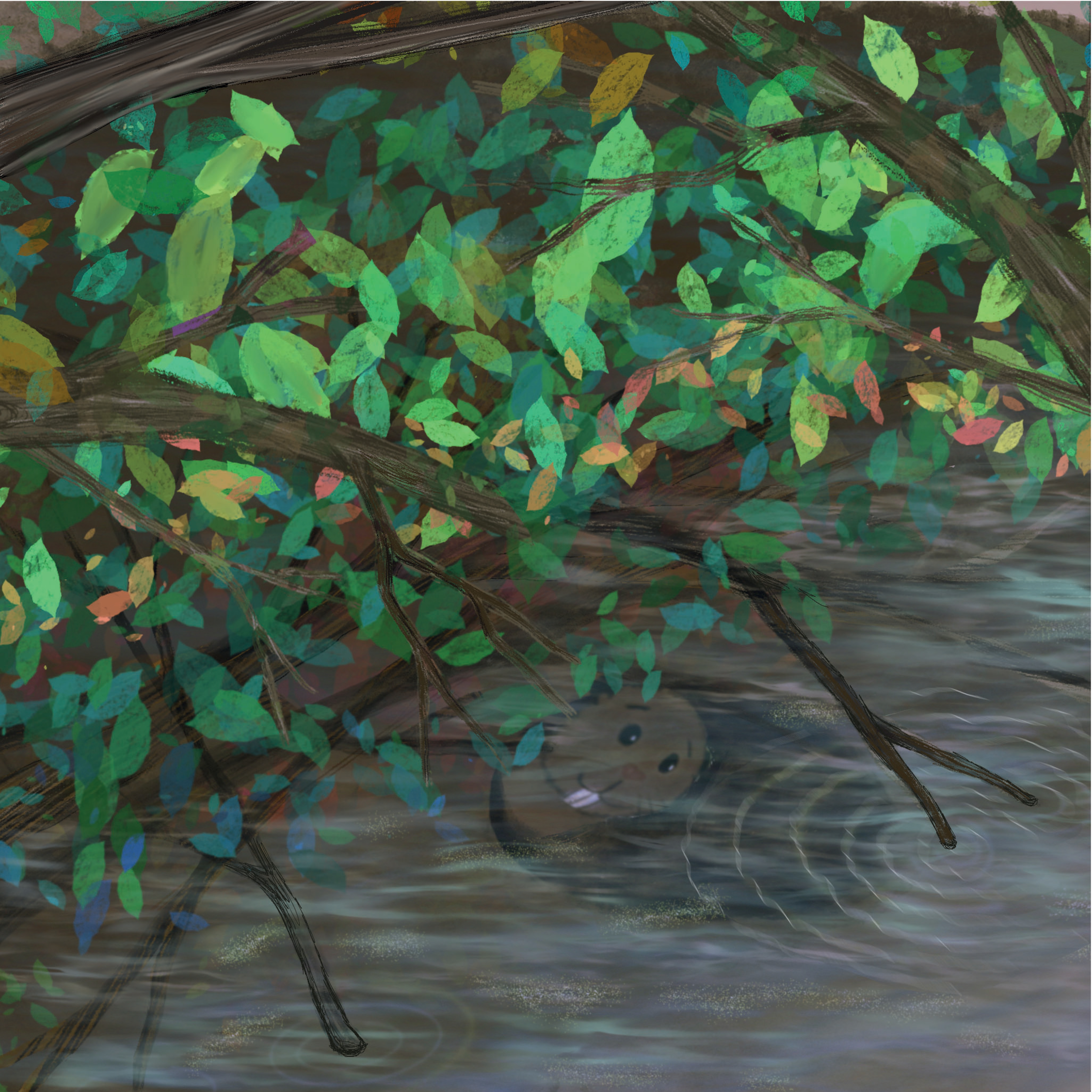 5