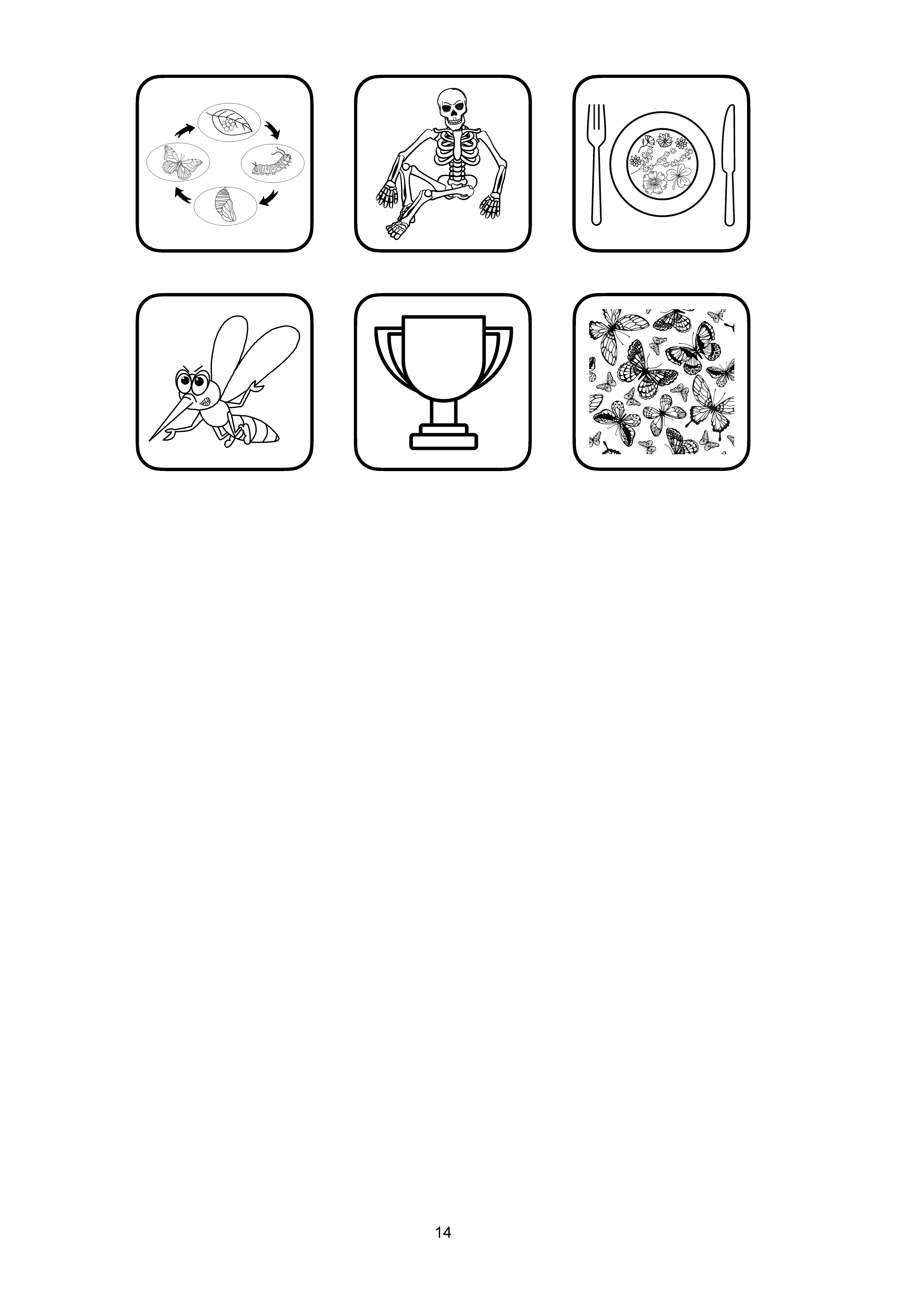 14