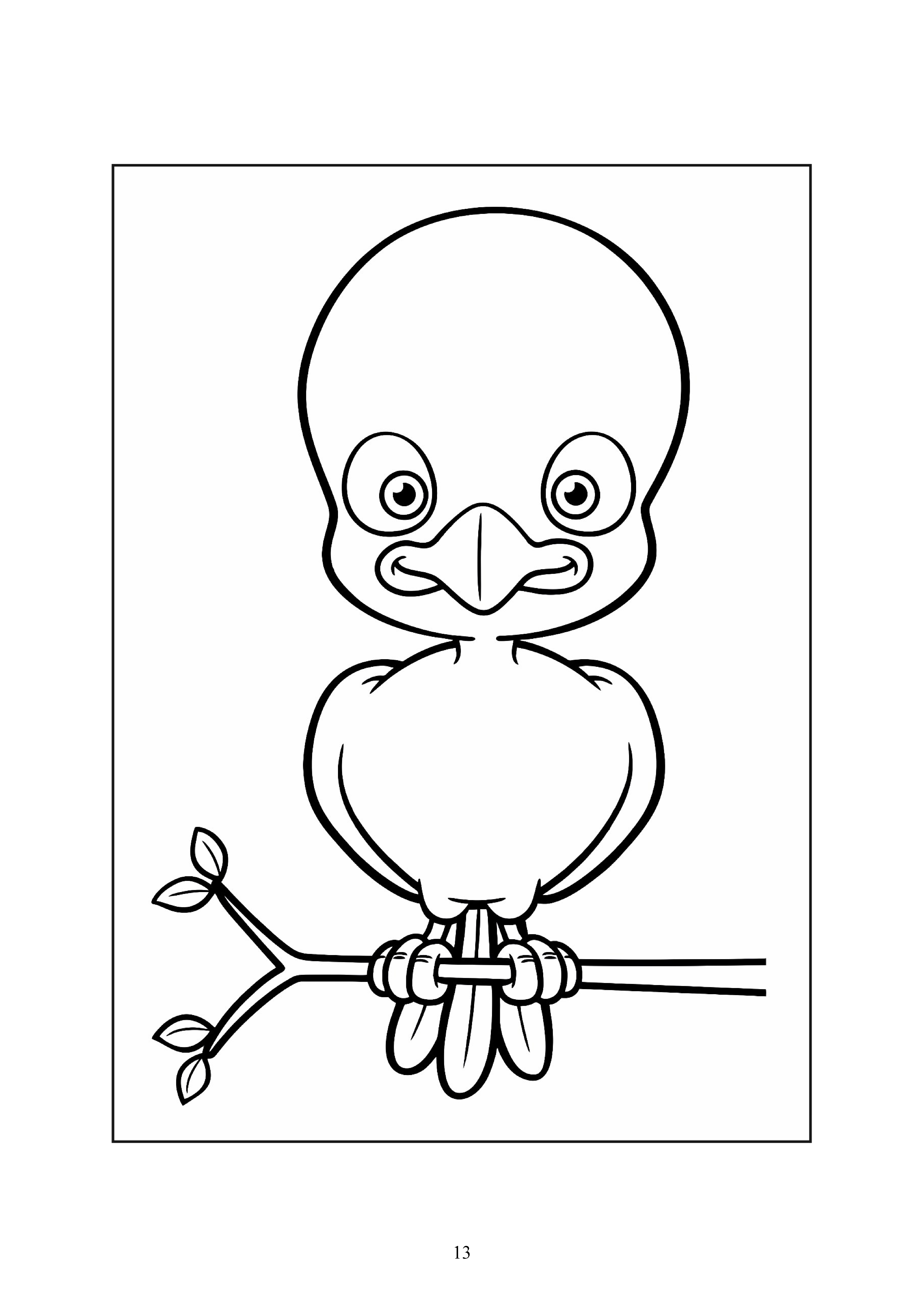 13