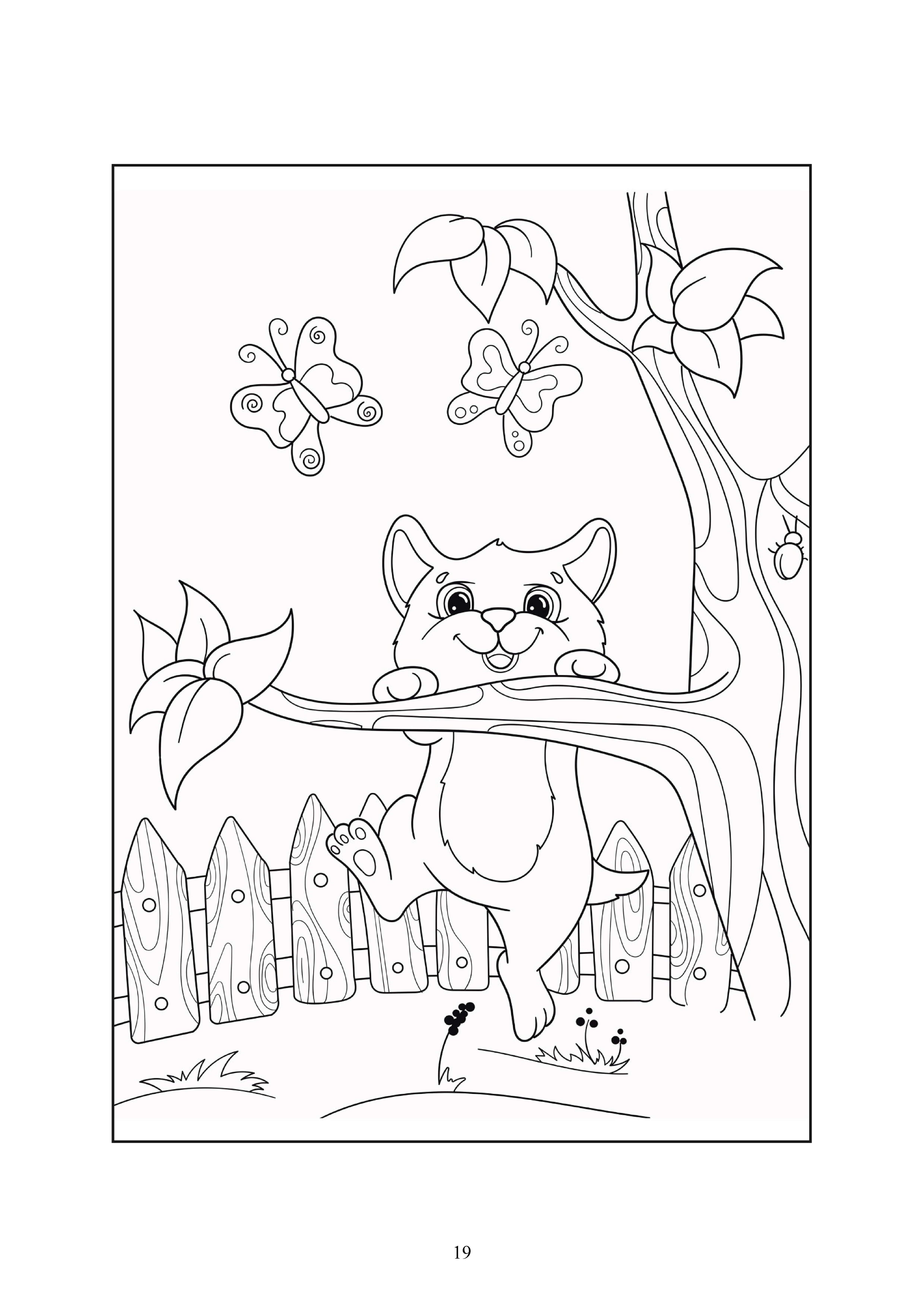 19
