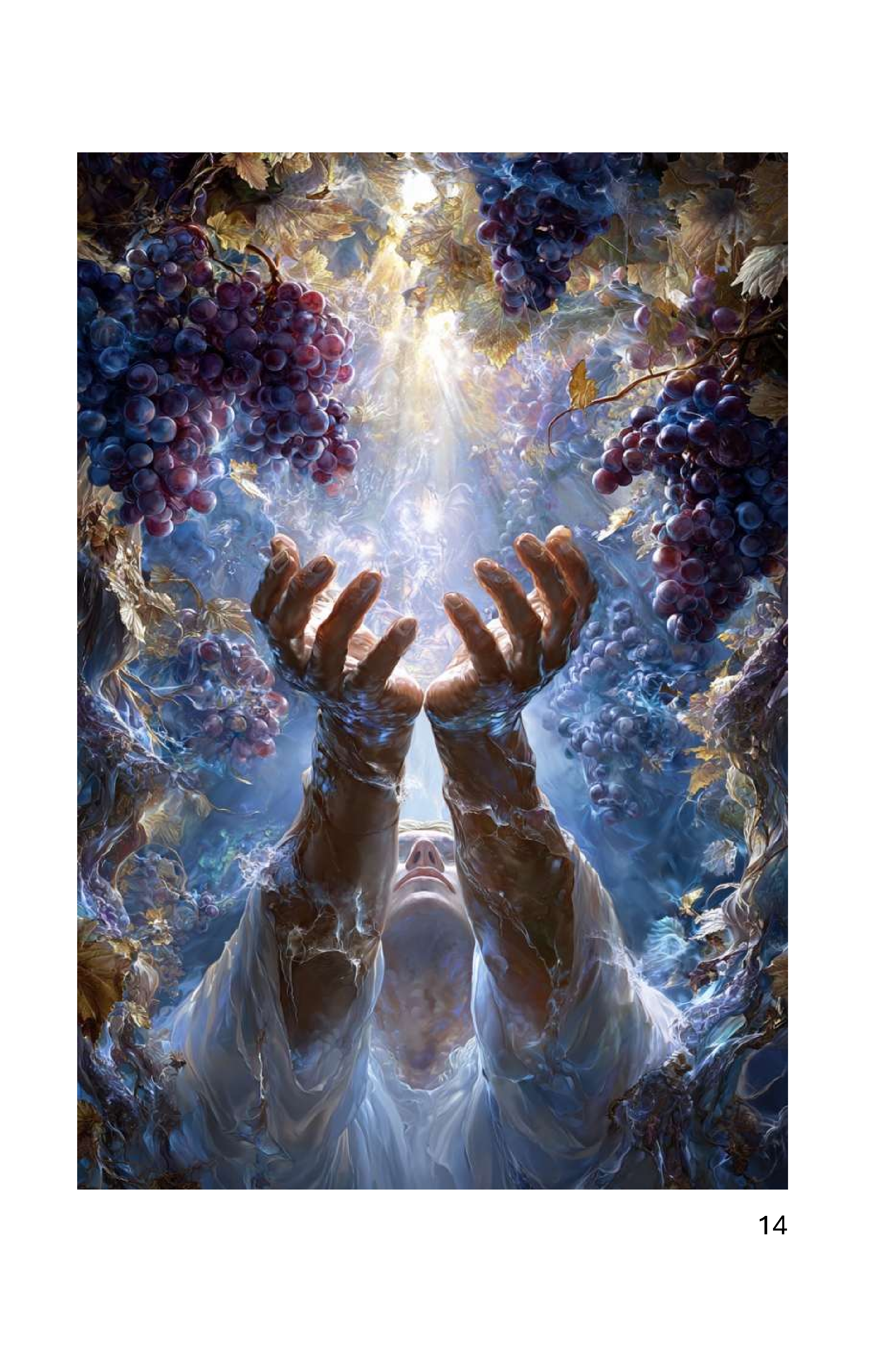 14