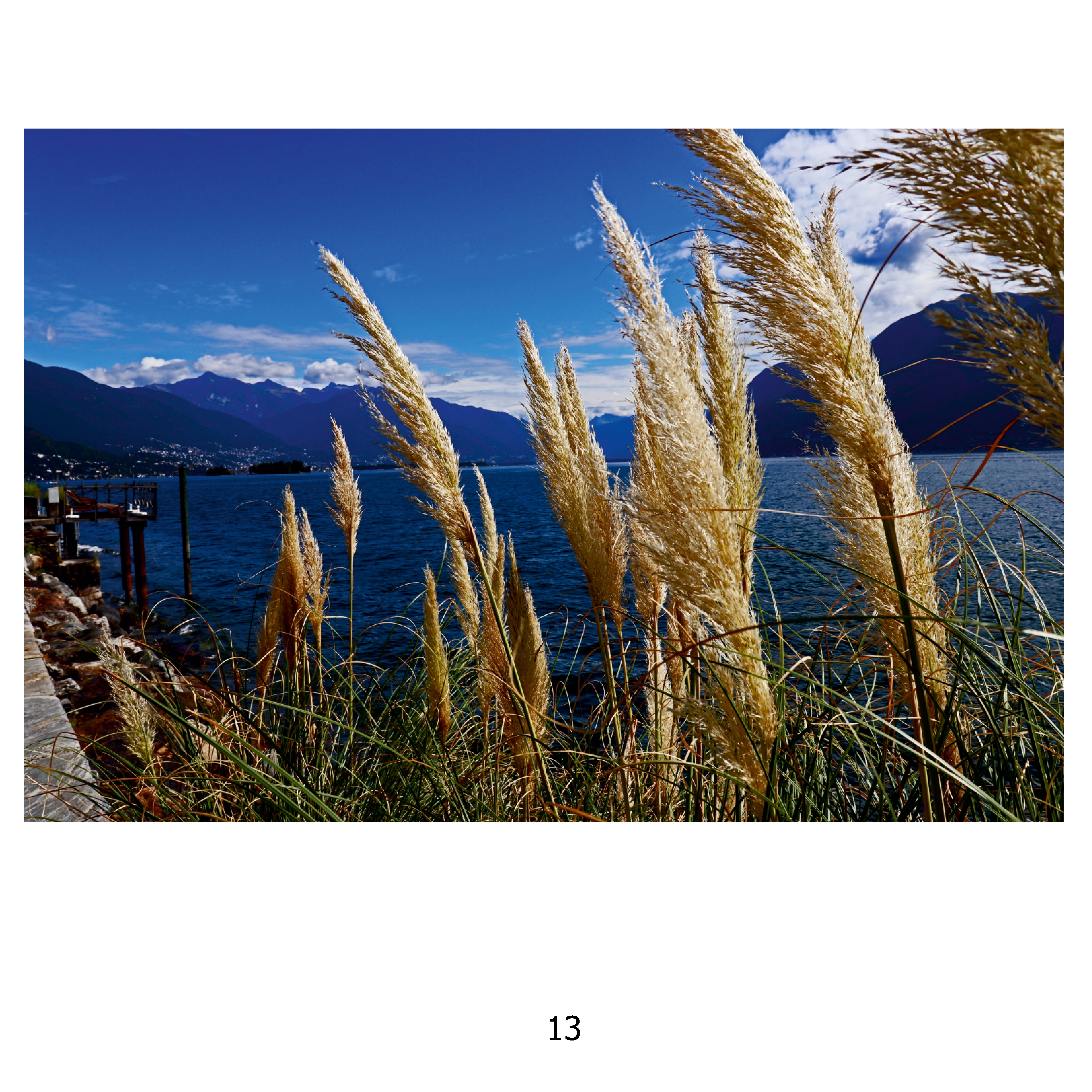 13