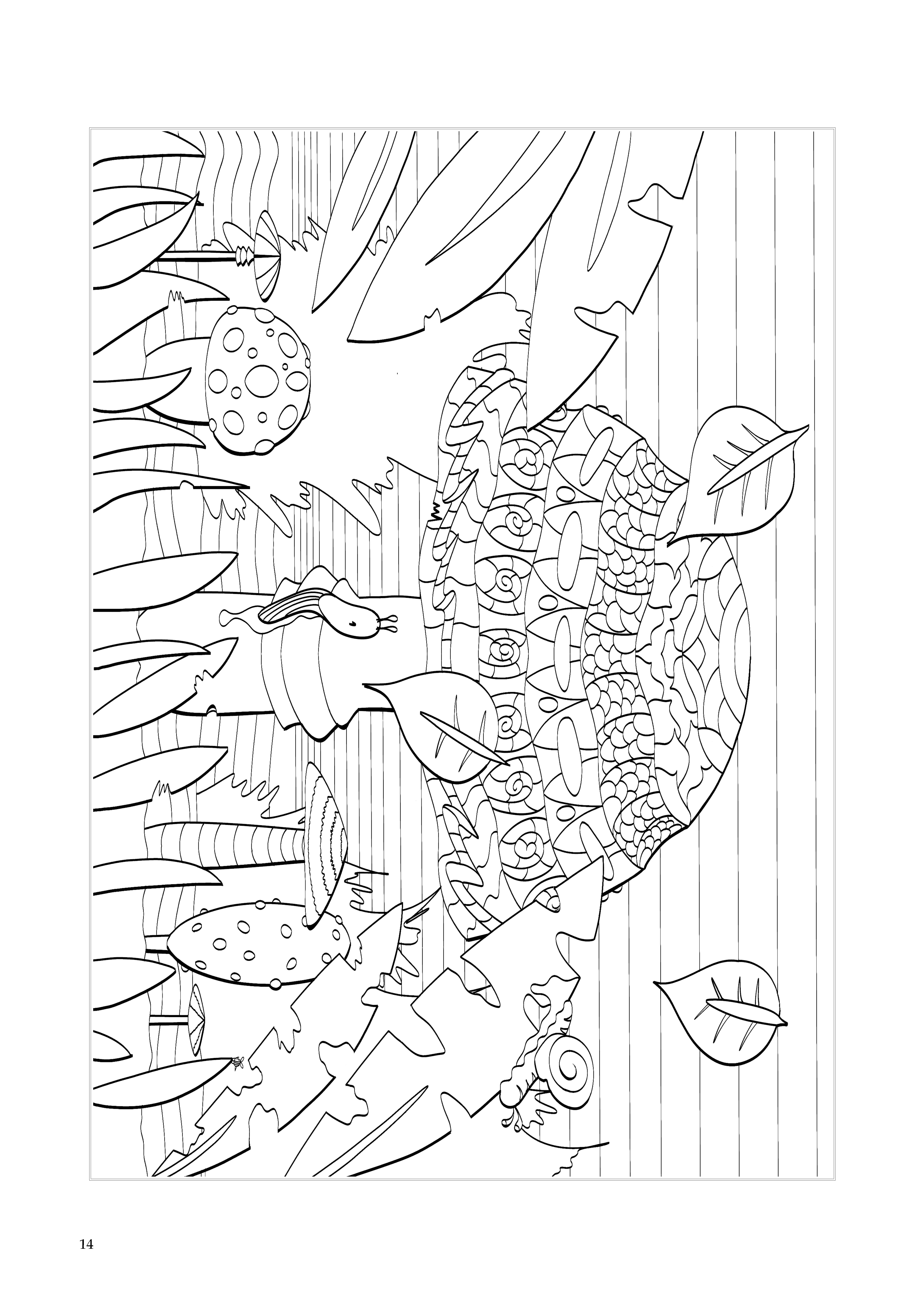 14
