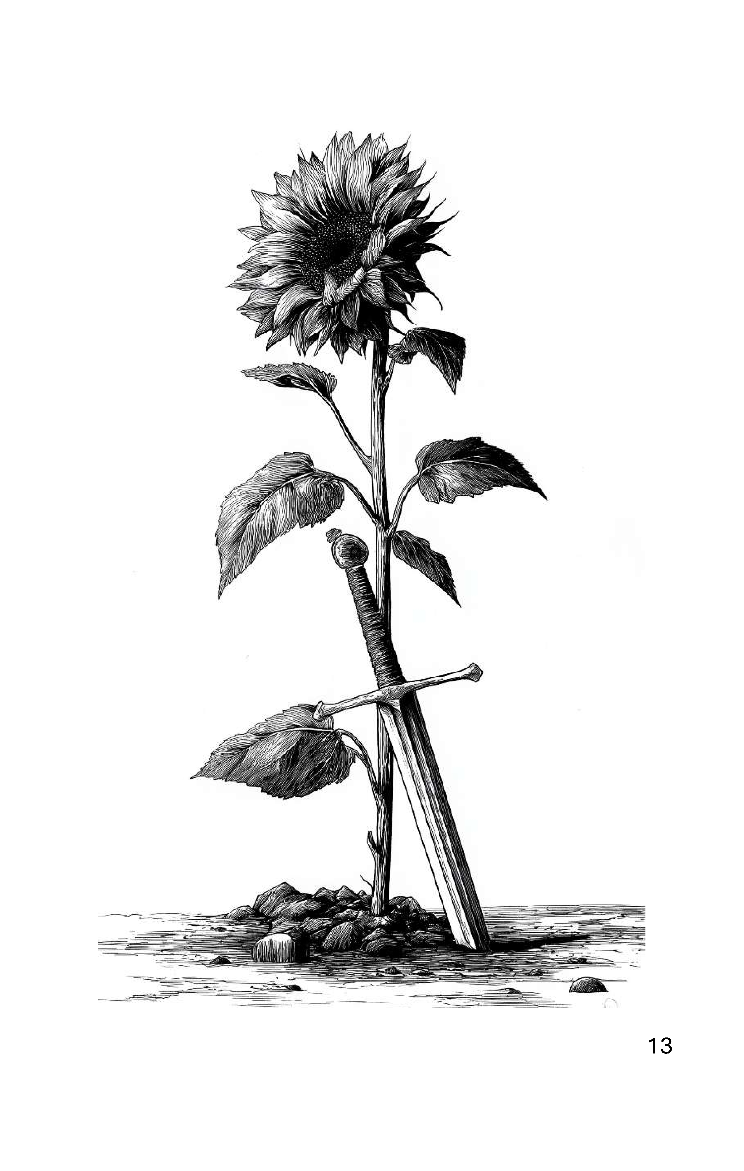 13