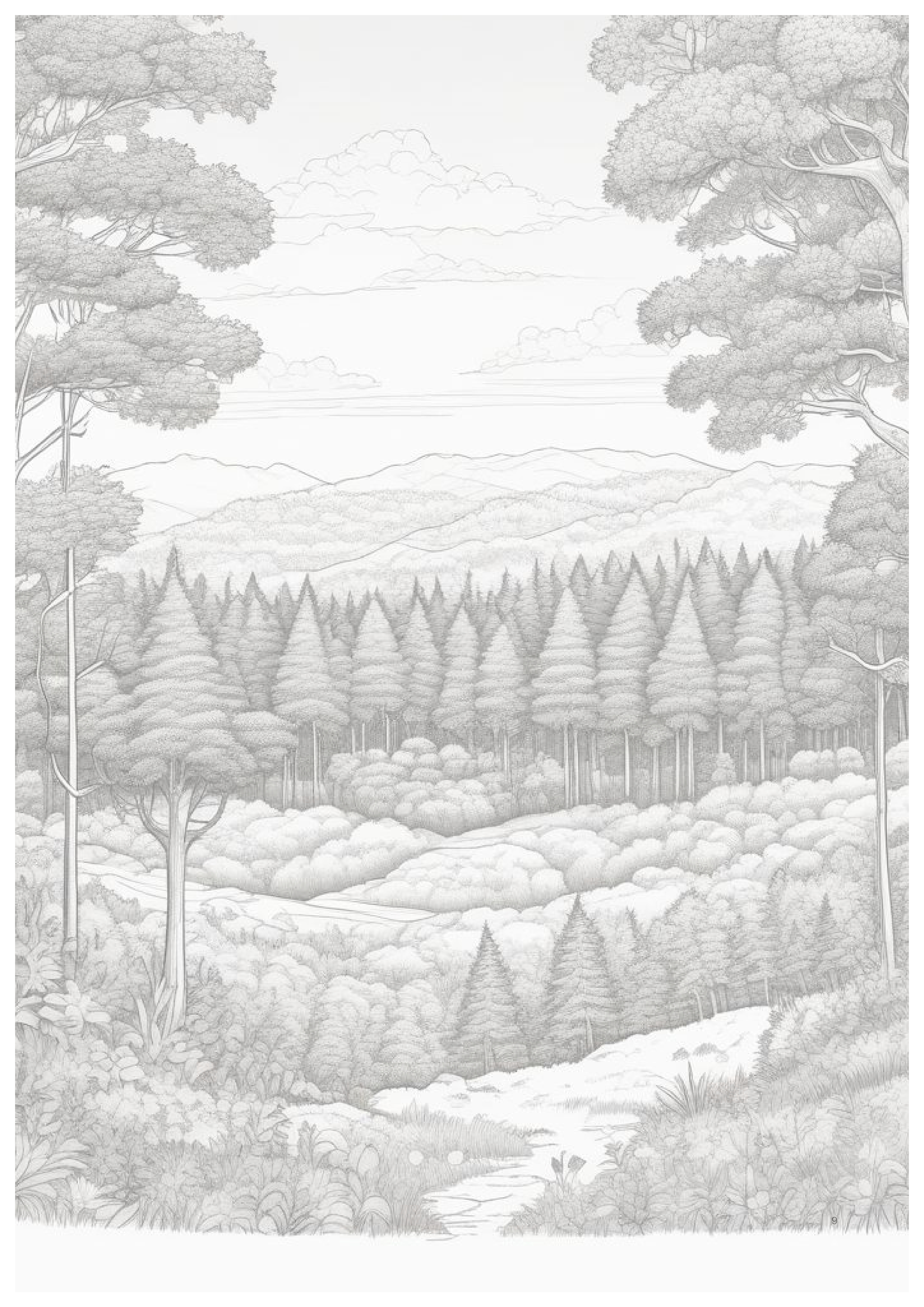 9