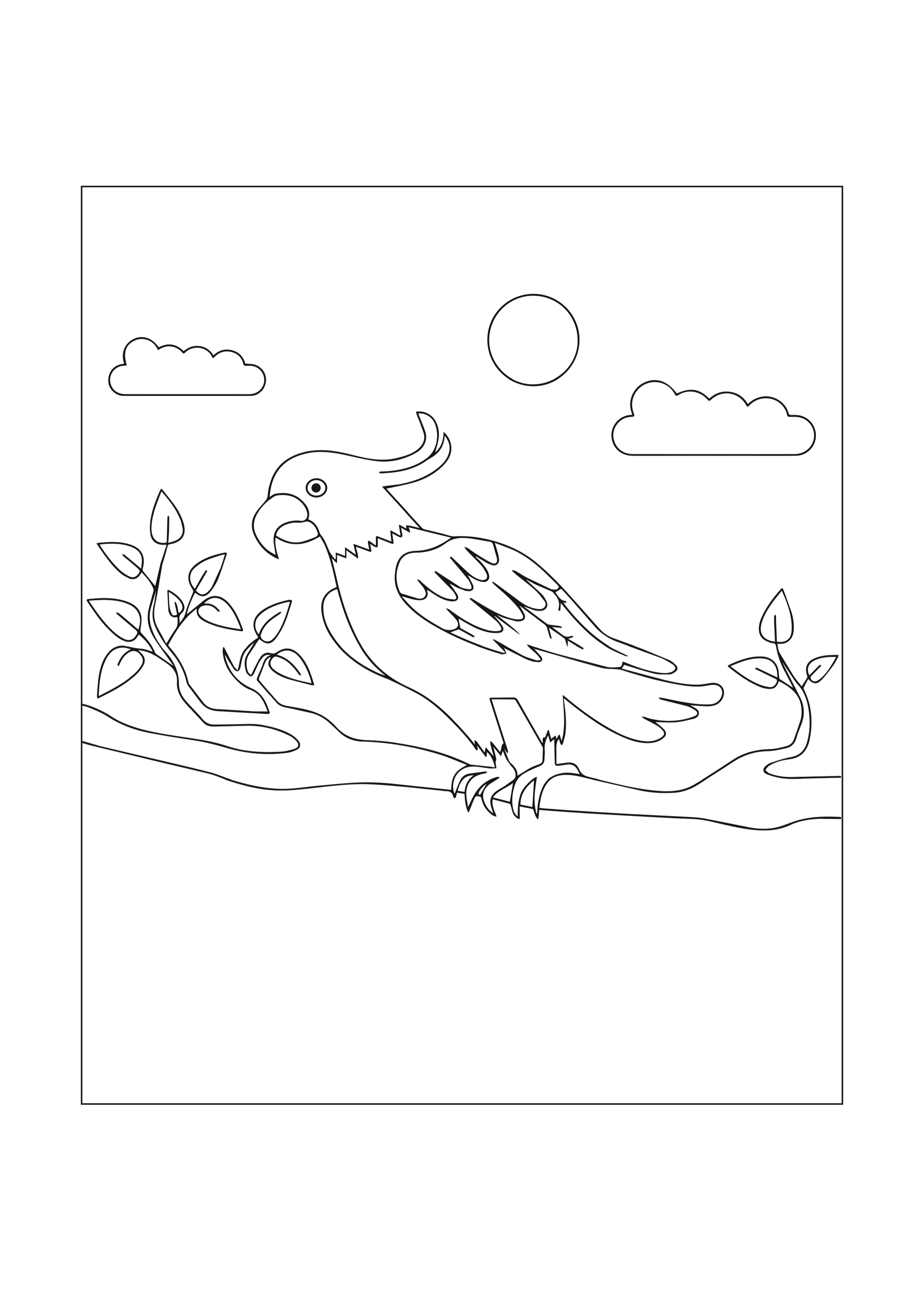 19