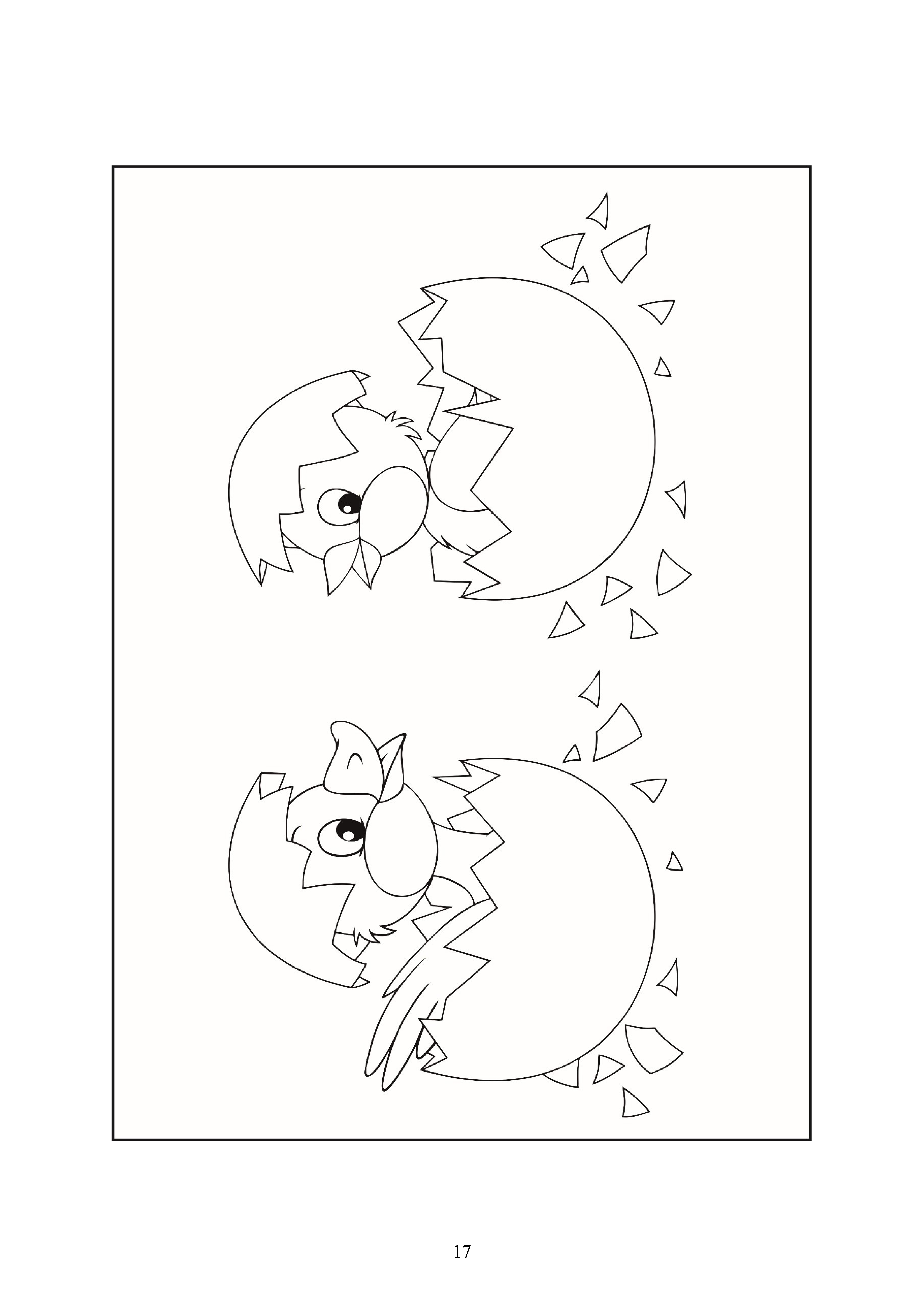 17
