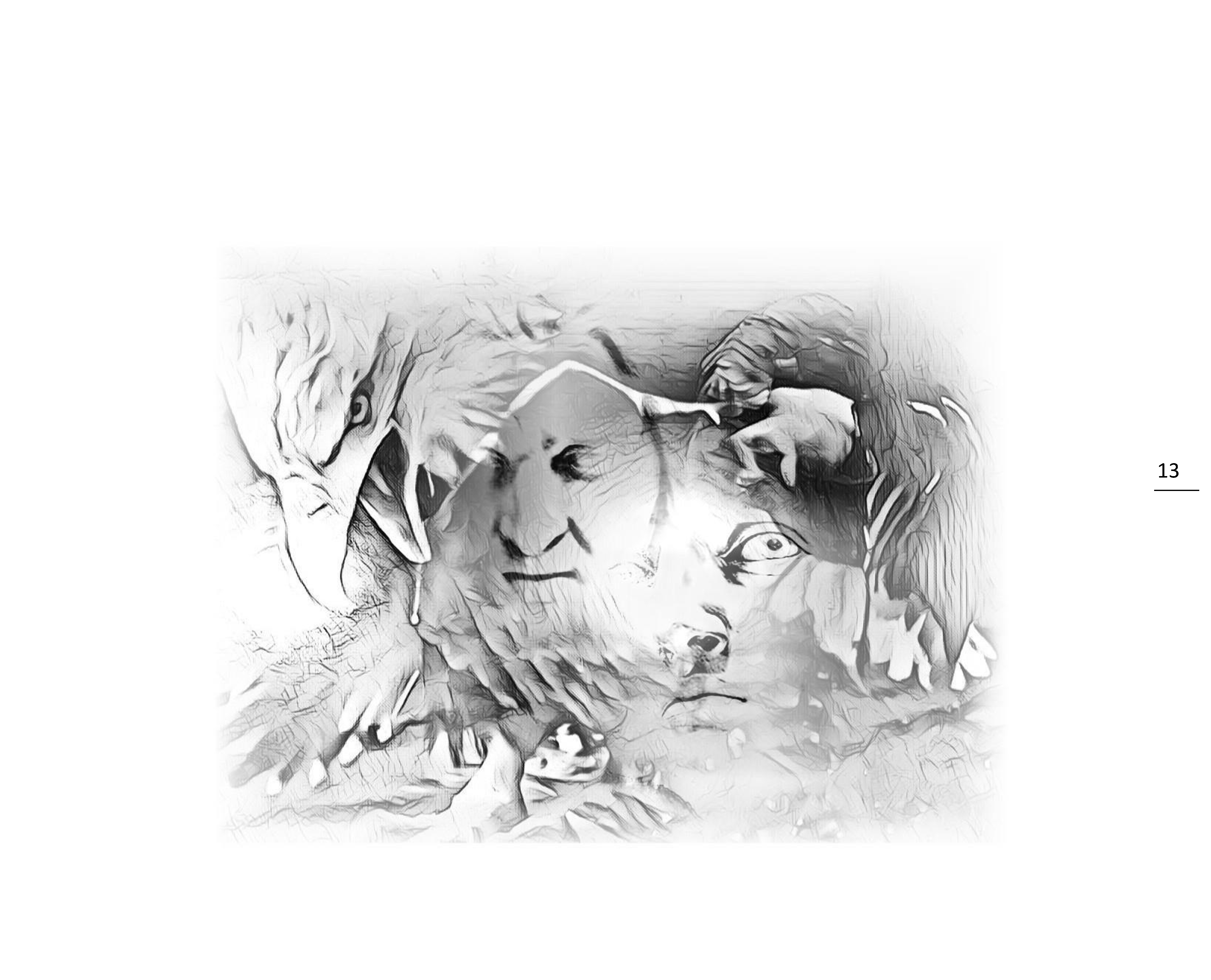 13