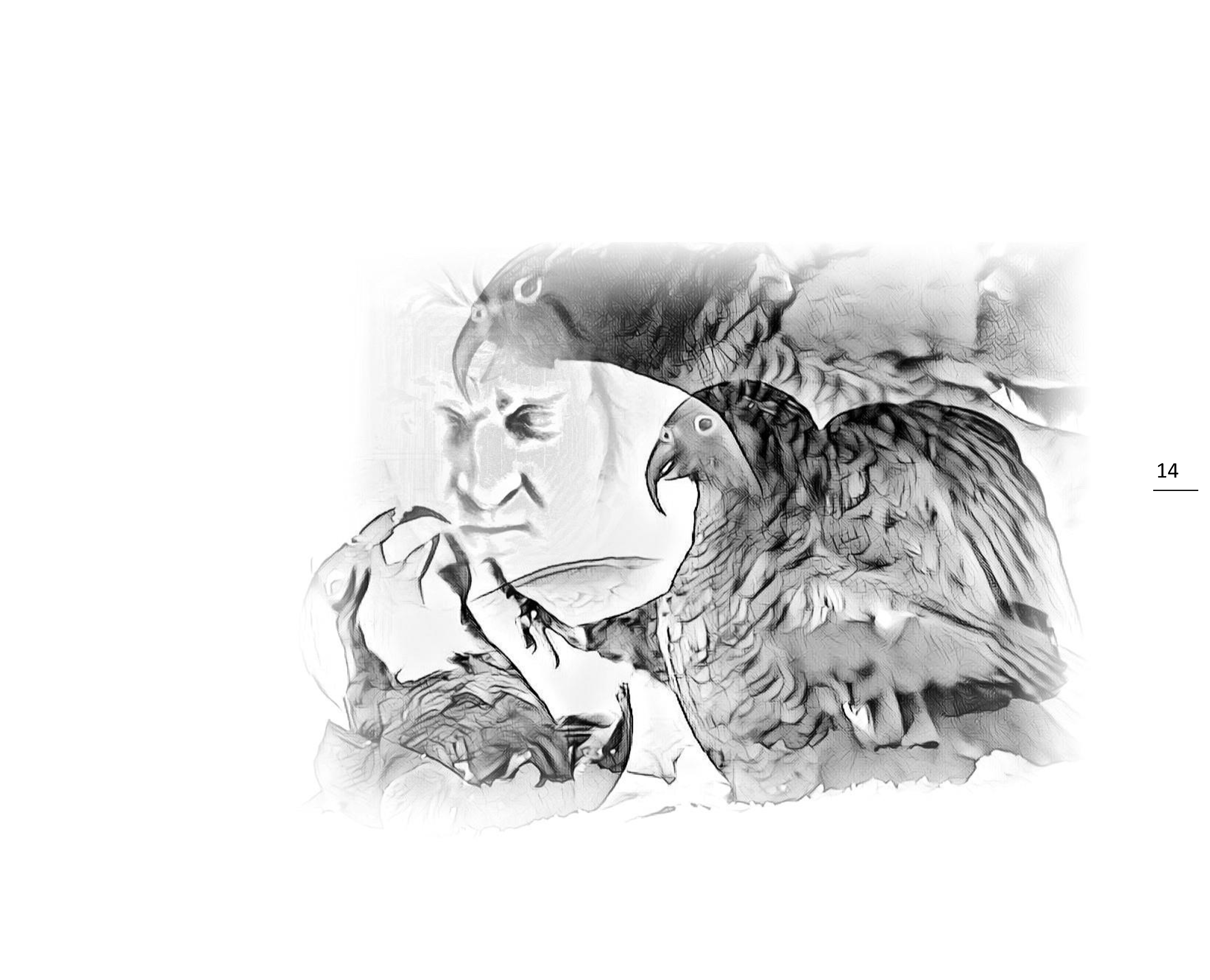 14