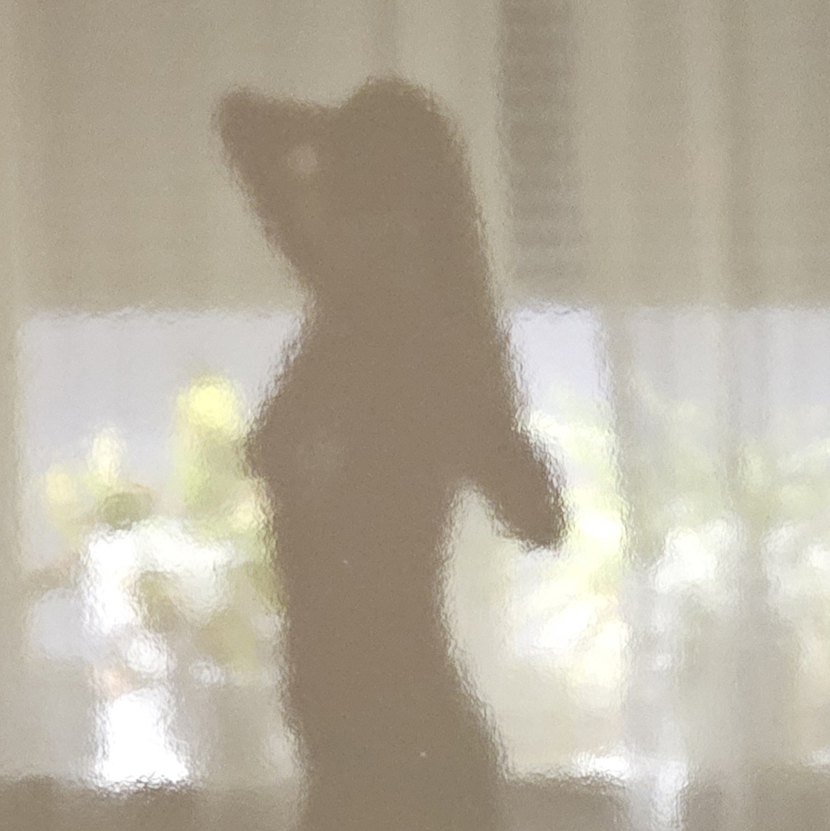 author-portrait