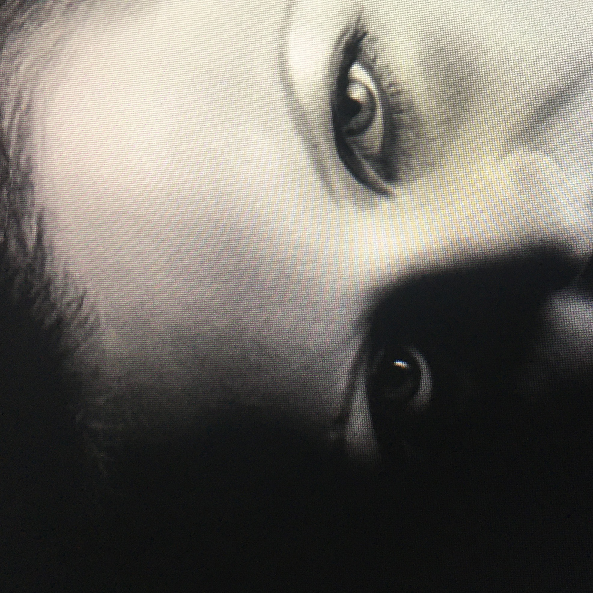 author-portrait