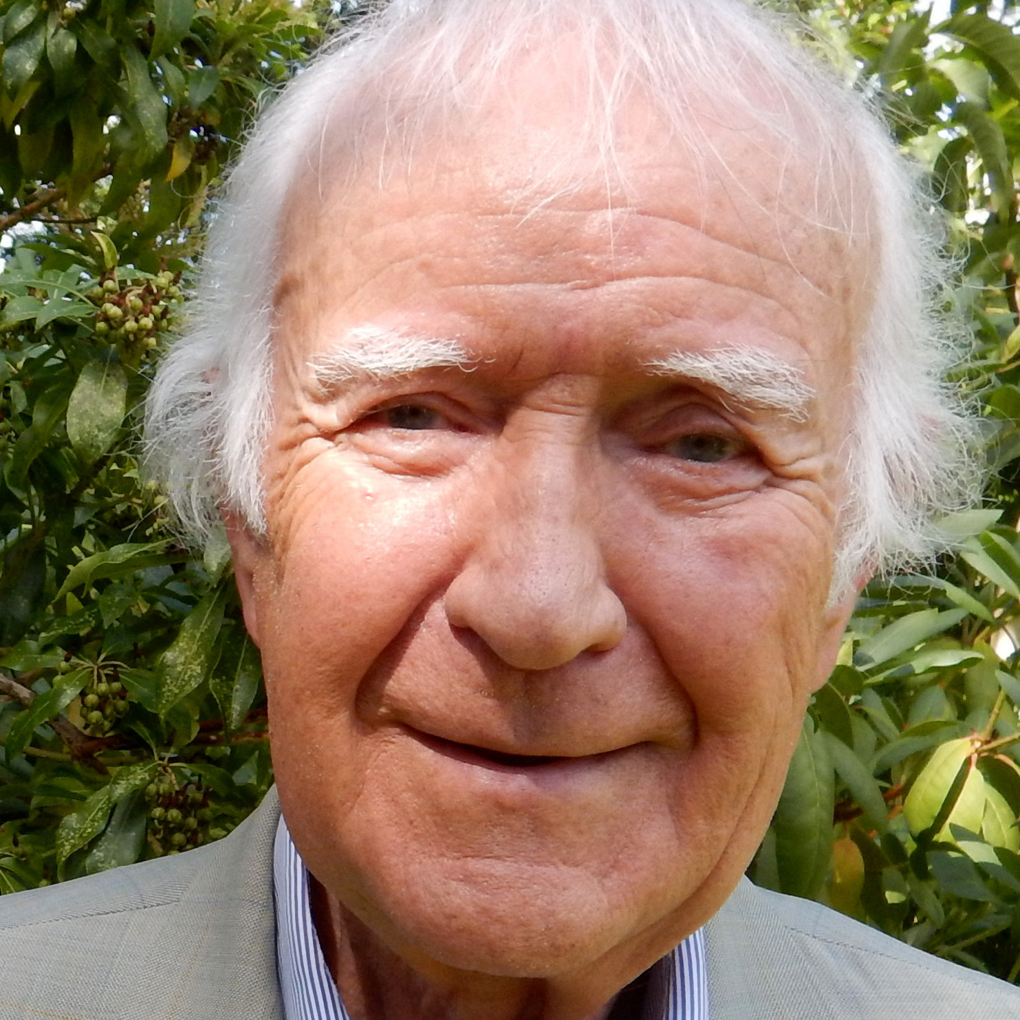 author-portrait